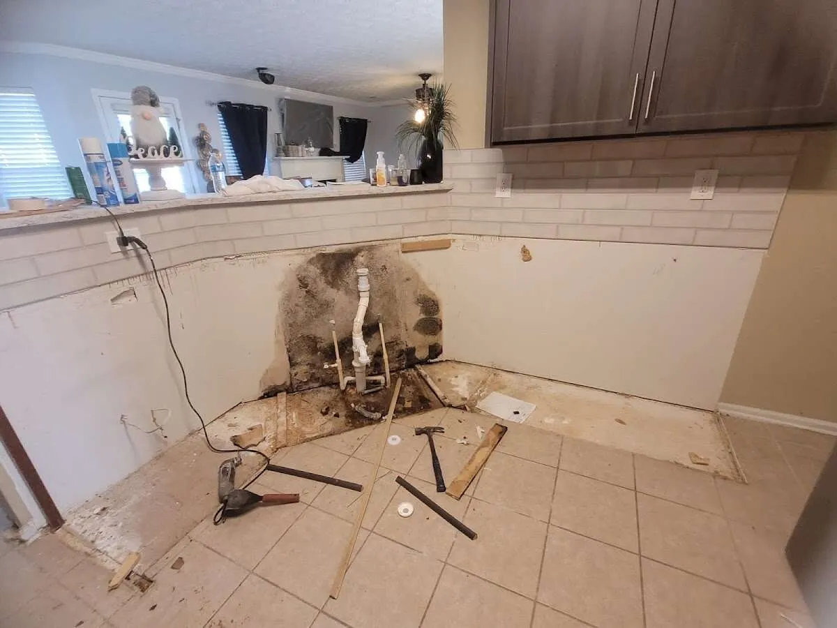 Mold behind wall with plumbing during Flood Damage Cleanup in Essex