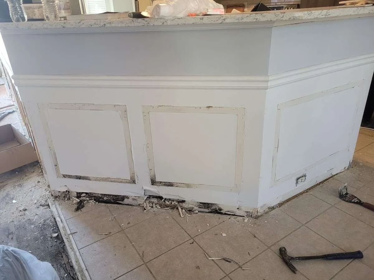 Water damage and mold on kitchen during Mold Inspection & Testing in Essex